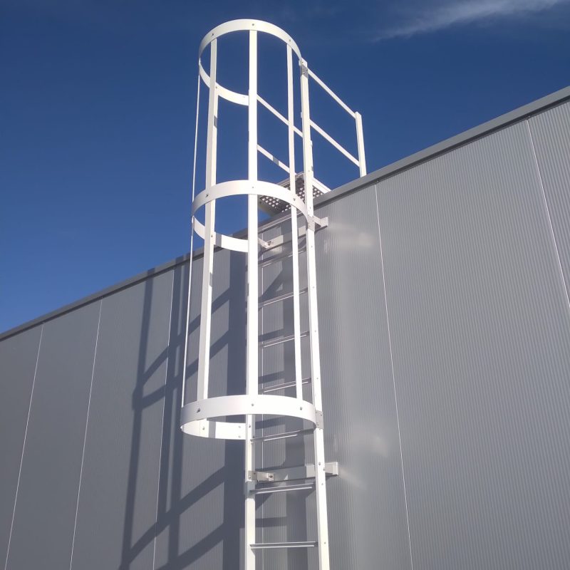 PHOTO-2022-01-16-13-35-32